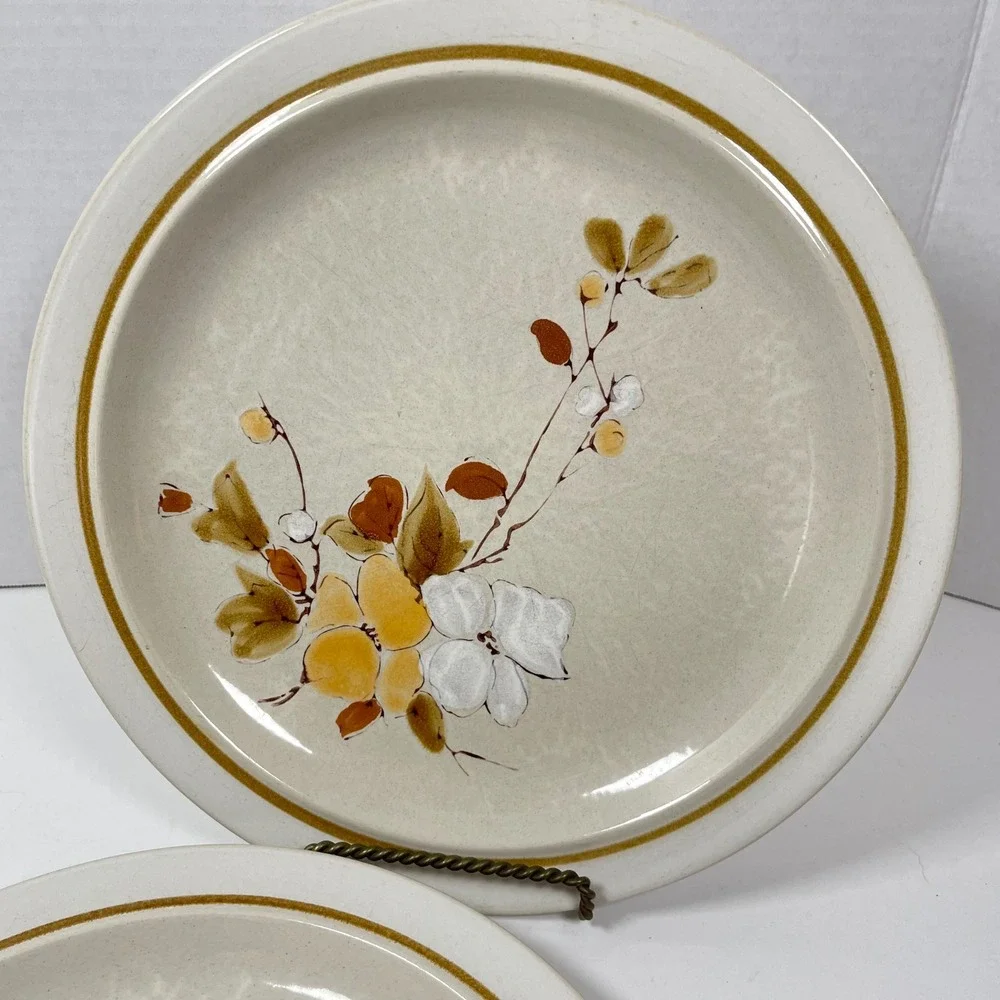 Vintage Casual Classic Stoneware Dinner Plates 415 Tahoe Tan Brown Floral 2